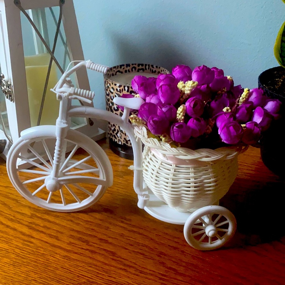 Wicker bicycle planter